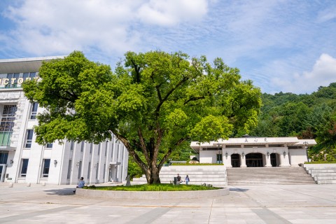 HJ天宙天寶修錬苑夏天風景相片